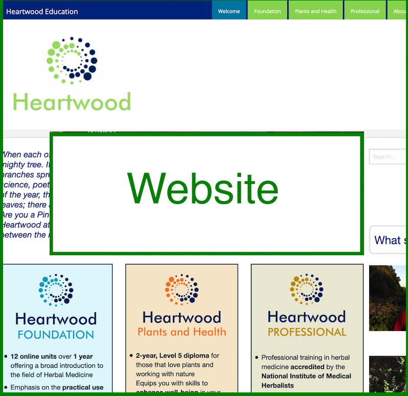Heartwood Homepage preview